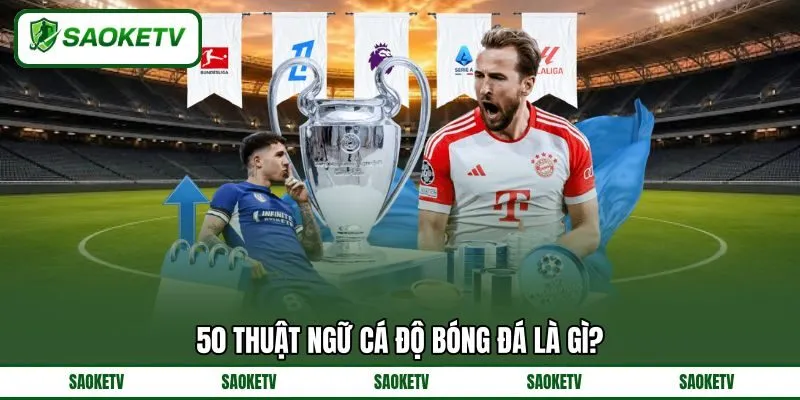 50 Thuật ngữ cá độ bóng đá là gì? 50 Thuật ngữ cá độ bóng đá là gì?