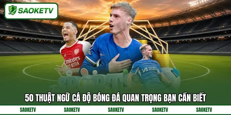 50 Thuật ngữ cá độ bóng đá quan trọng bạn cần biết 50 Thuật ngữ cá độ bóng đá quan trọng bạn cần biết