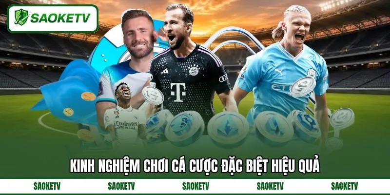Kinh nghiệm chơi cá cược đặc biệt hiệu quả Kinh nghiệm chơi cá cược đặc biệt hiệu quả
