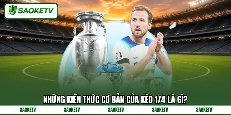 Những kiến thức cơ bản của kèo 1/4 là gì? Những kiến thức cơ bản của kèo 1/4 là gì?