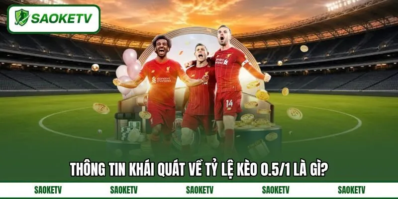 Thông tin khái quát về tỷ lệ kèo 0.5/1 là gì? Thông tin khái quát về tỷ lệ kèo 0.5/1 là gì?